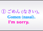 gomen screen