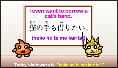 Japanese Kotowaza: 猫の手も借りたい