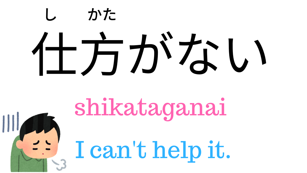 what-is-shouganai