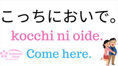 Come Here In Japanese おいで Punipunijapan