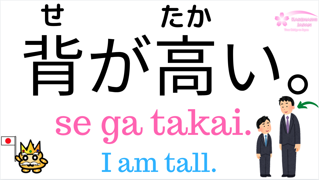 Low japanese. Tall in Japanese.