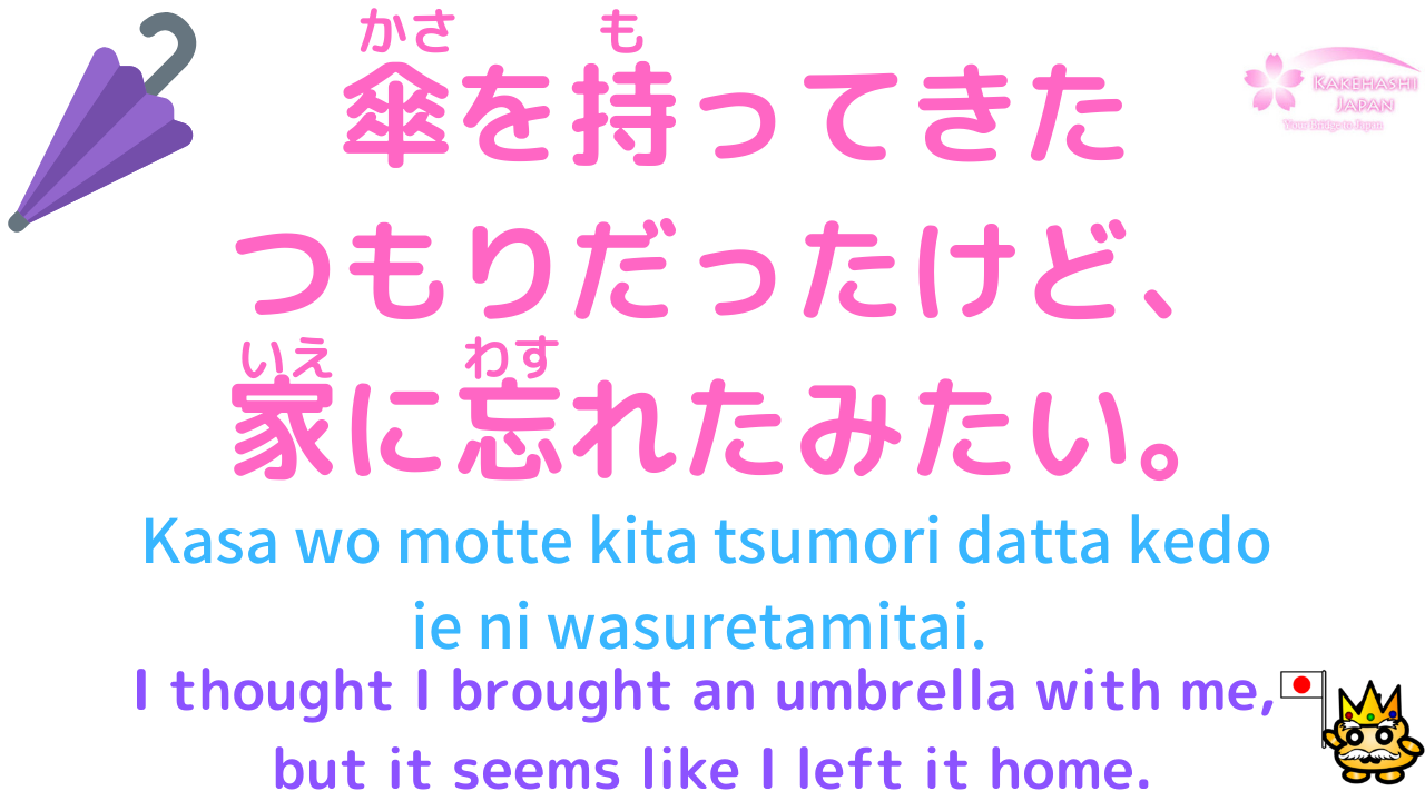 how-to-say-i-am-intended-to-in-japanese