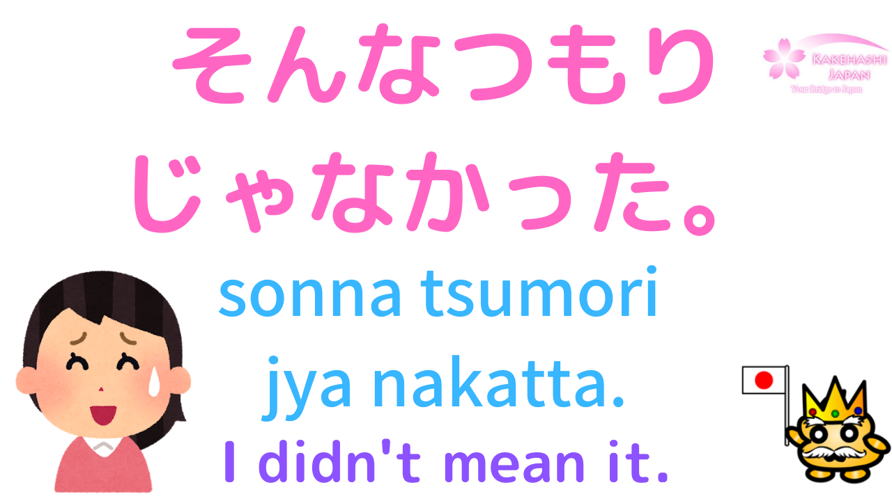 how-to-say-i-am-intended-to-in-japanese